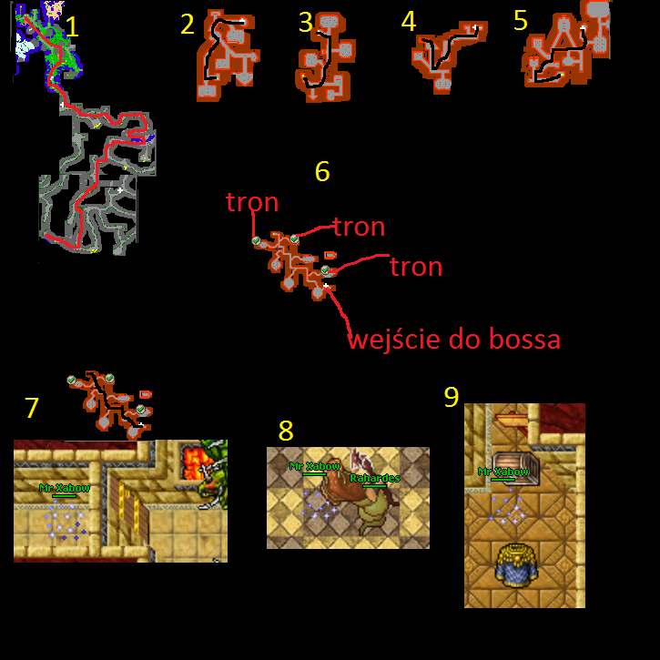 Questy: Life Ring Quest - Tibia ~